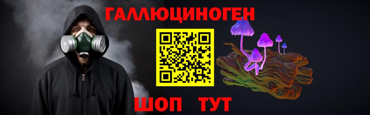 Псилоцибиновые грибы GOLDEN TEACHER Санкт-Петербург